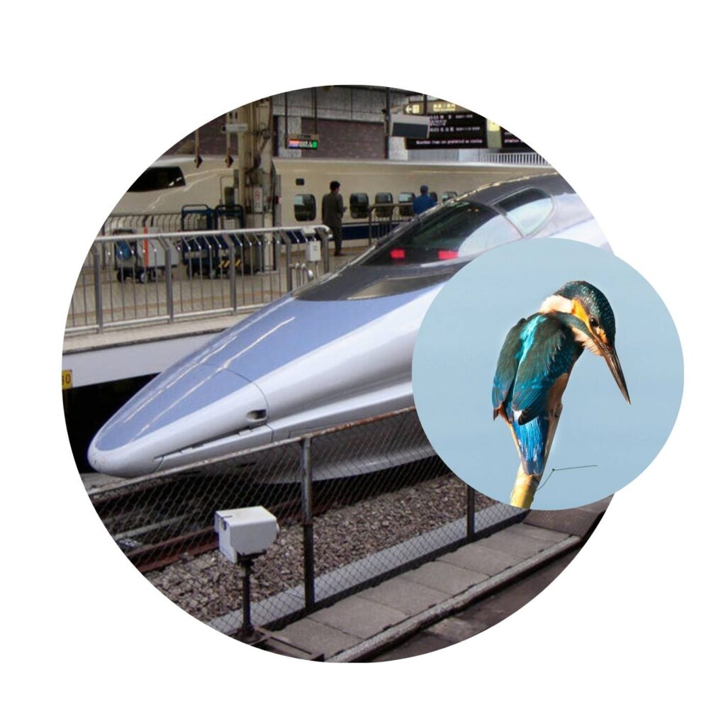 Inventions from Nature