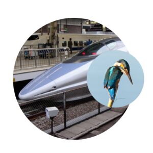 Inventions from Nature